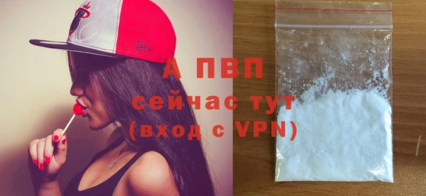 стаф Баксан