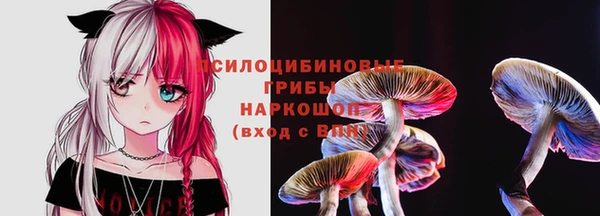 стаф Баксан