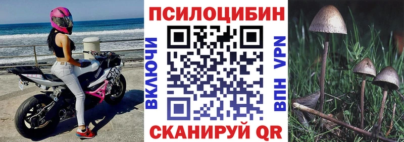 mega маркетплейс  купить  цена  Электроугли  Галлюциногенные грибы GOLDEN TEACHER 