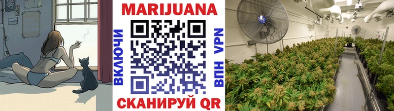 наркотики  Электроугли  Бошки Шишки гибрид 